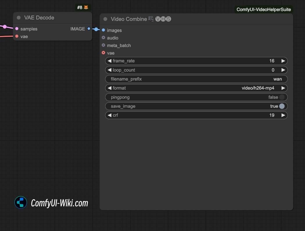 Video Output Format